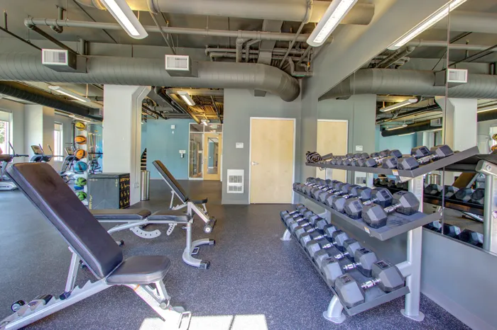 Fitness center with free weights at 345 Flats